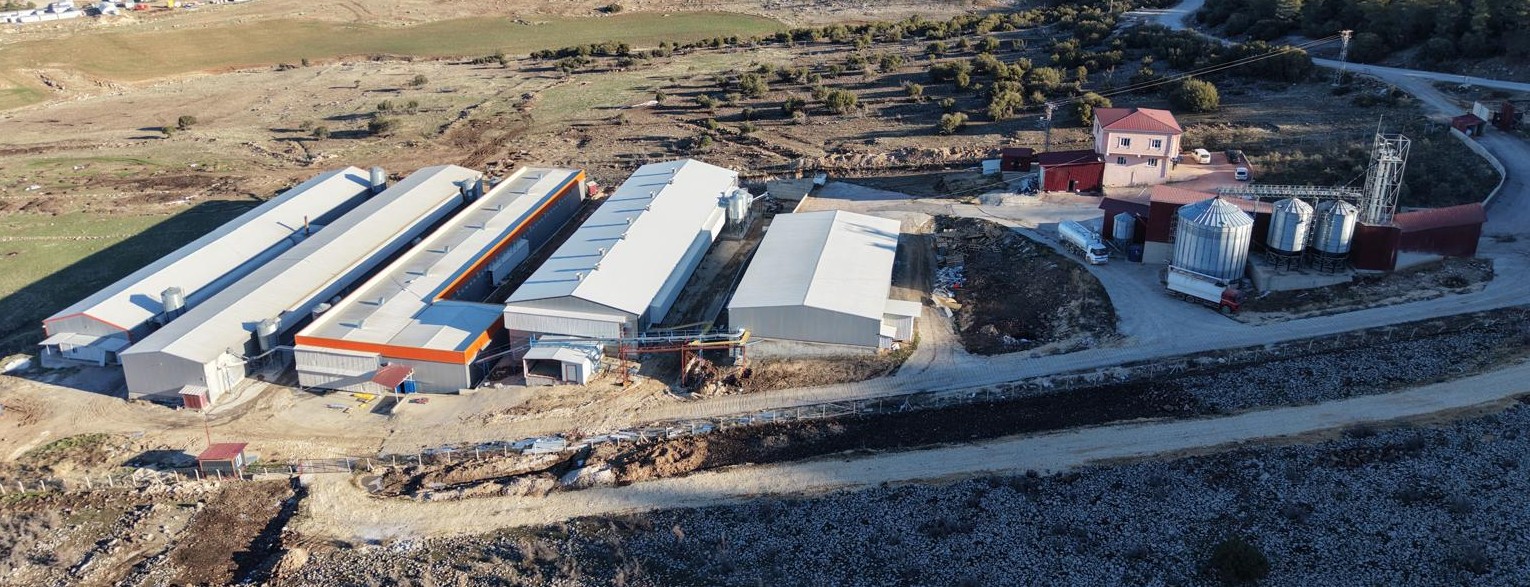 Sisyum Yumurta Üretim Tesisi