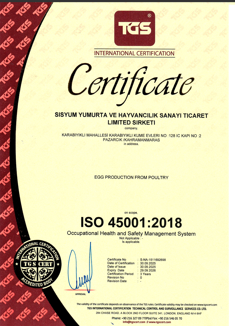 ISO 45001 İş Sağlığı ve Güvenliği Sertifikası
